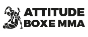 Attitude Boxe Mma